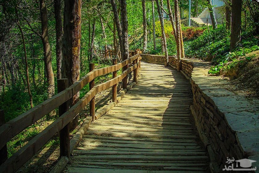 معرفی دیدنی‌ ها و امکانات تفریحی پارک طالقانی