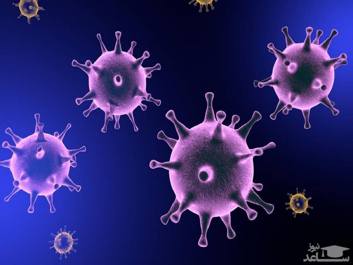 تعداد افراد مبتلا به ویروس کرونا به ۵۹۳ نفر افزایش یافت