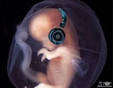 بهترین موسیقی و آهنگ ها برای جنین