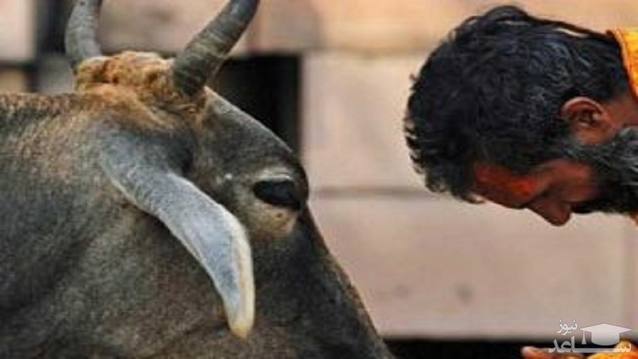 در کشور هند این جملات را هرگز به زبان نیاورید