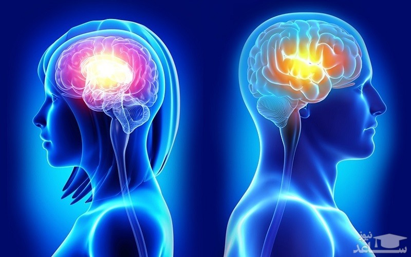 تفاوت های عملکرد مغز زنان و مردان
