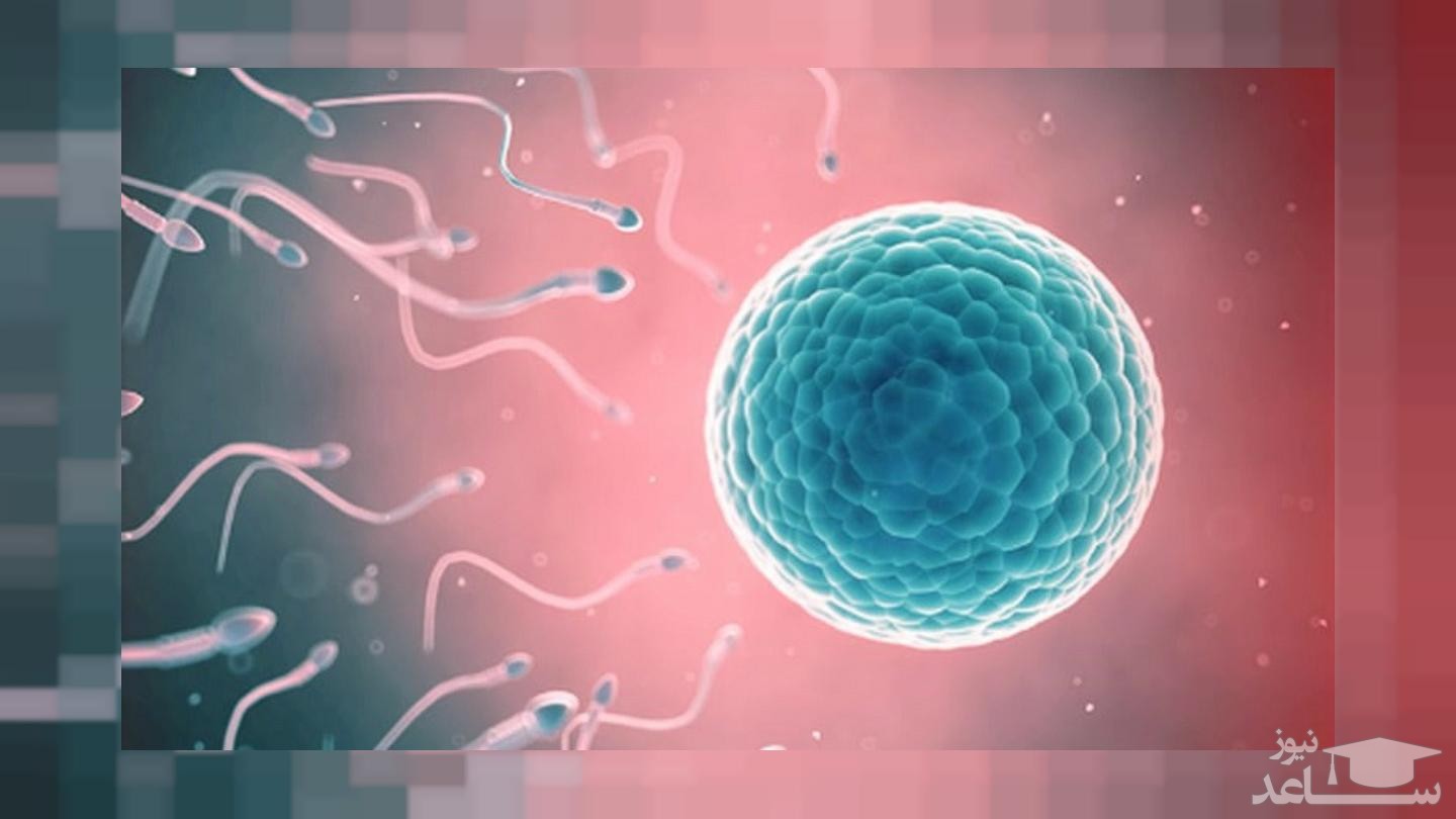 کووید-۱۹ می‌تواند باعث ناباروری مردان شود؟