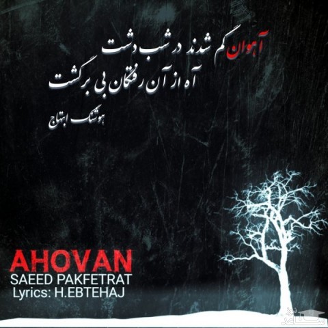 دانلود آهنگ آهوان از سعید پاک فطرت