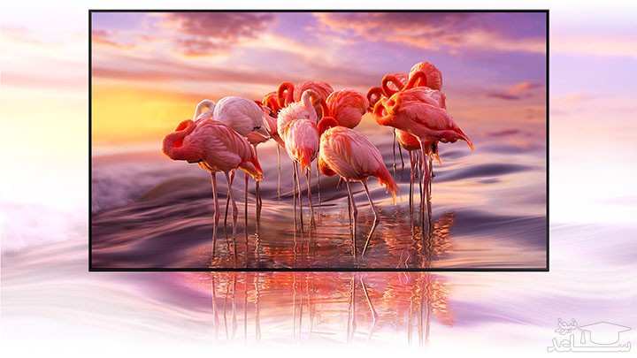 تلویزیون 4K QLED سامسونگ مدل Q60A سایز 65 اینچ