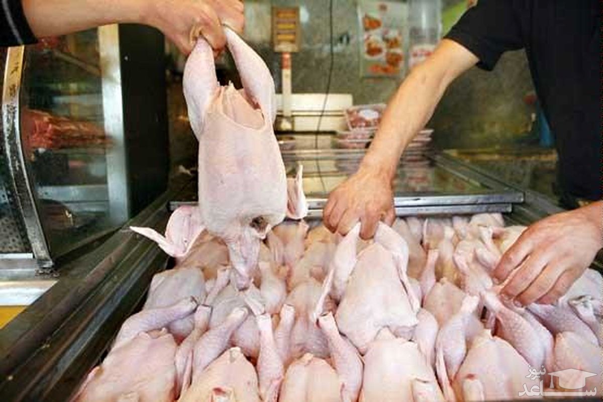 حداکثر قیمت مرغ در بازار ۳۱ هزارتومان است