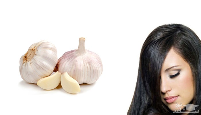 تأثیر سیر در زیبایی مو