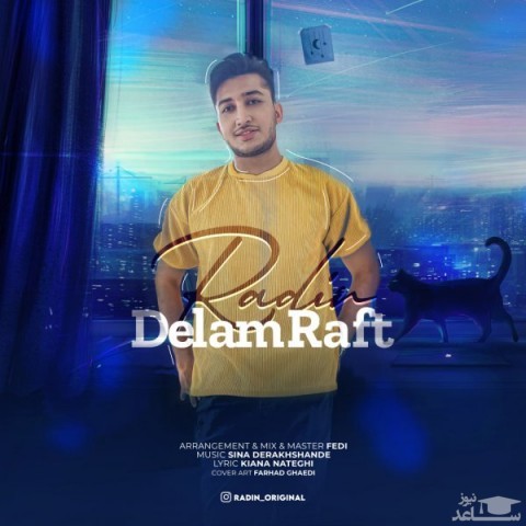 دانلود آهنگ دلم رفت از رادین