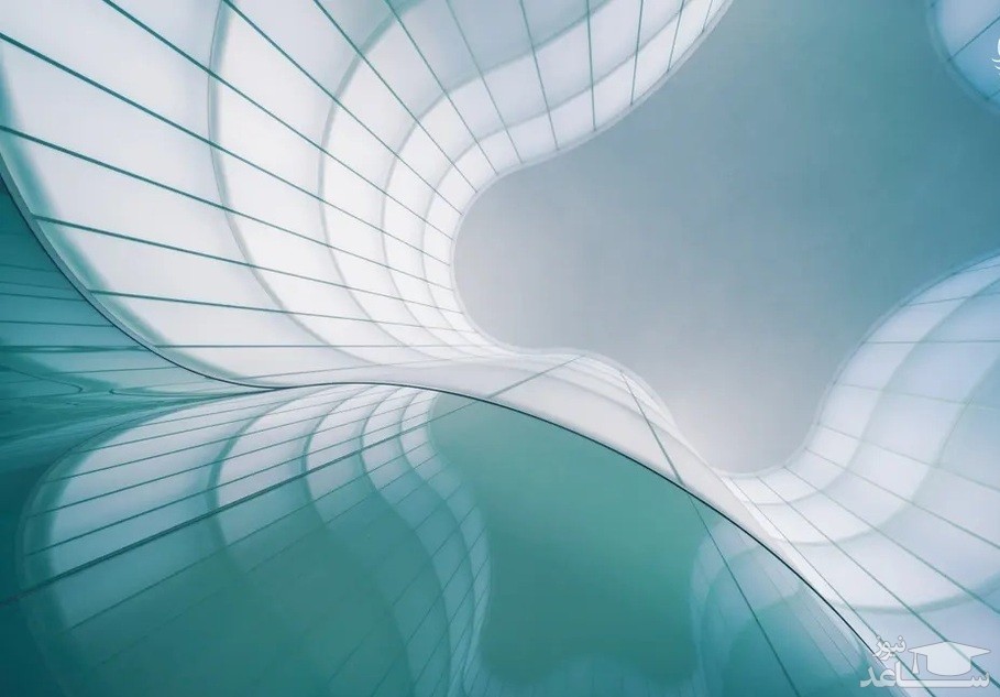 اثر برگزیده عکاسی