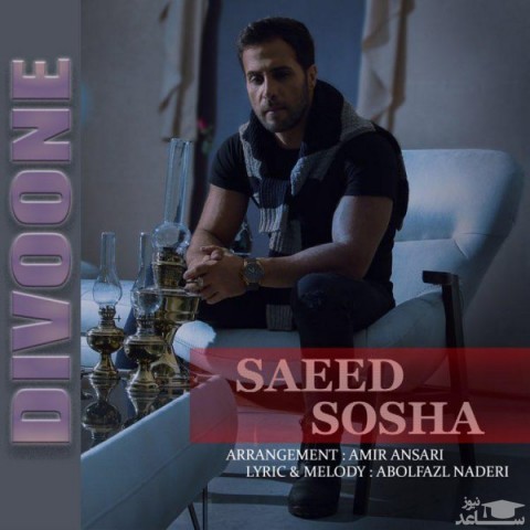 دانلود آهنگ دیوونه از سعید سوشا