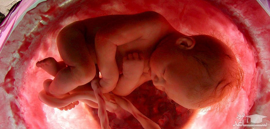 تاثیر سقط جنین بر بارداری های بعدی