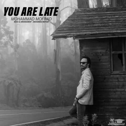 دانلود آهنگ دیر آمدی از محمد مفرد