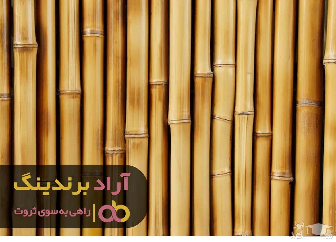 قیمت چوب بامبو خشک اصفهان بسیار مناسب است.
