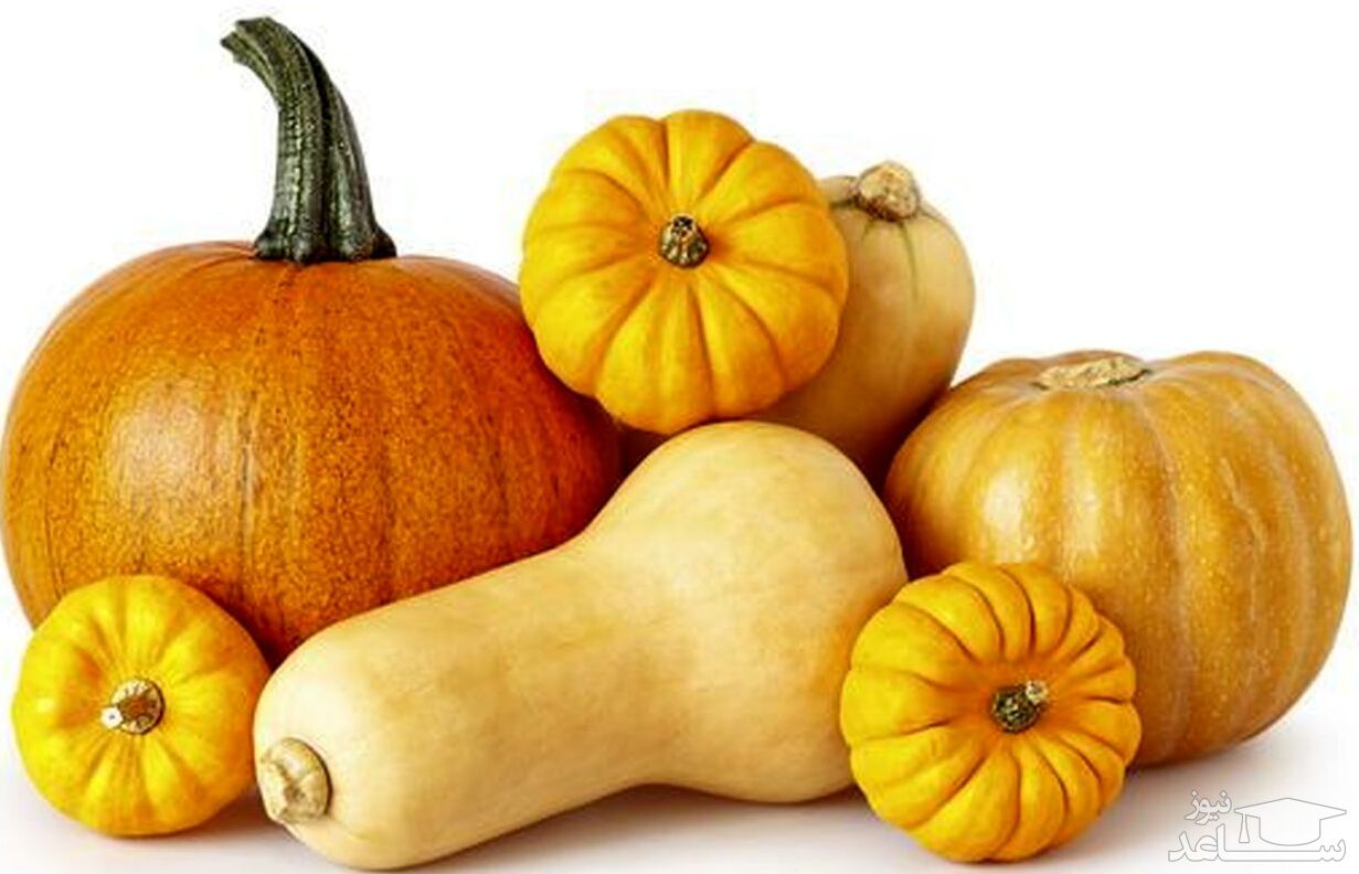 پوستر کدو تنبل