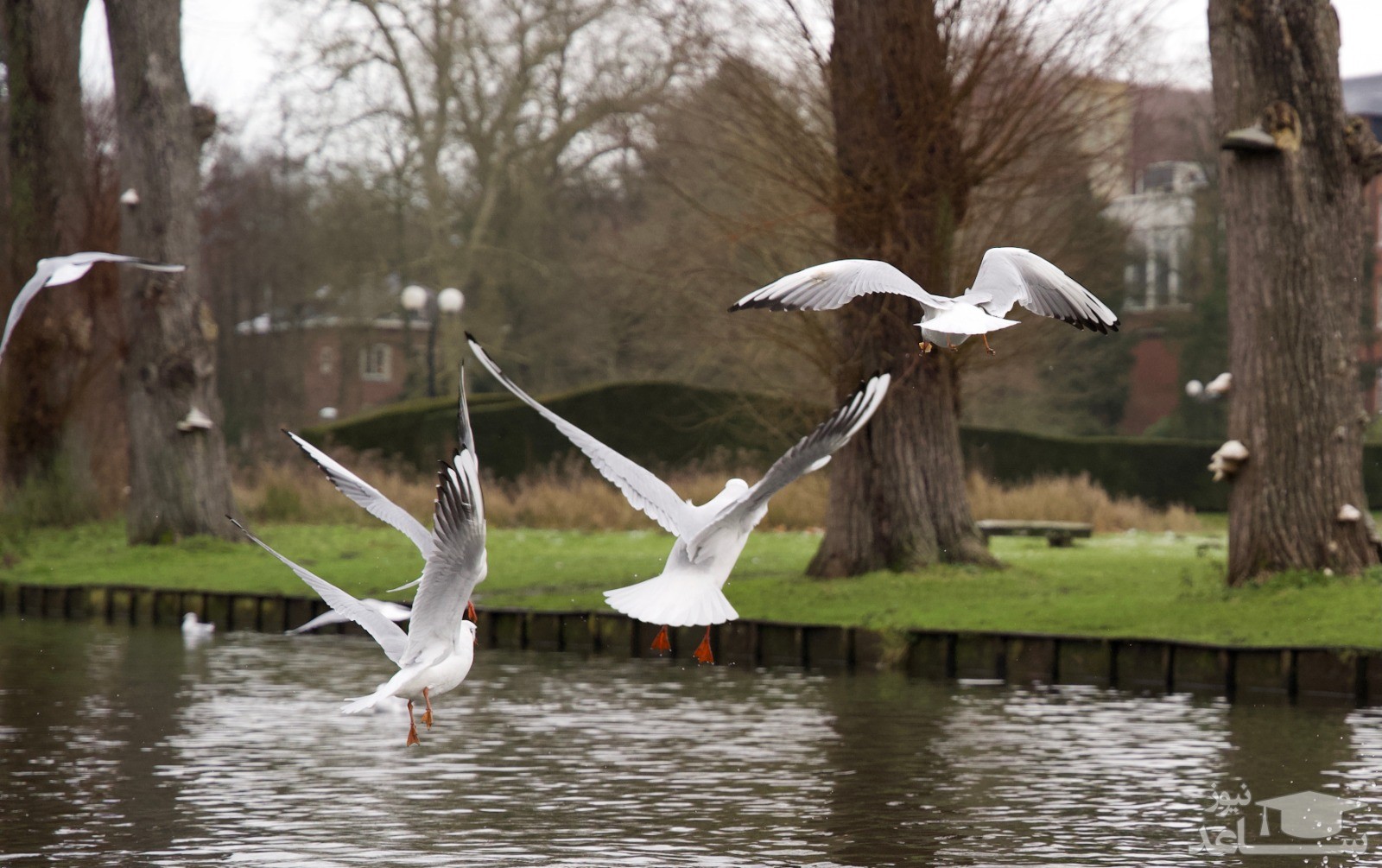 تصاویر زیبای زمستانی از محوطه دانشگاه لوون در بلژیک