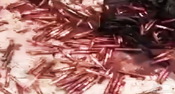 ماجرای لوله‌های آزمایشگاهیِ حاوی خون در شهریار