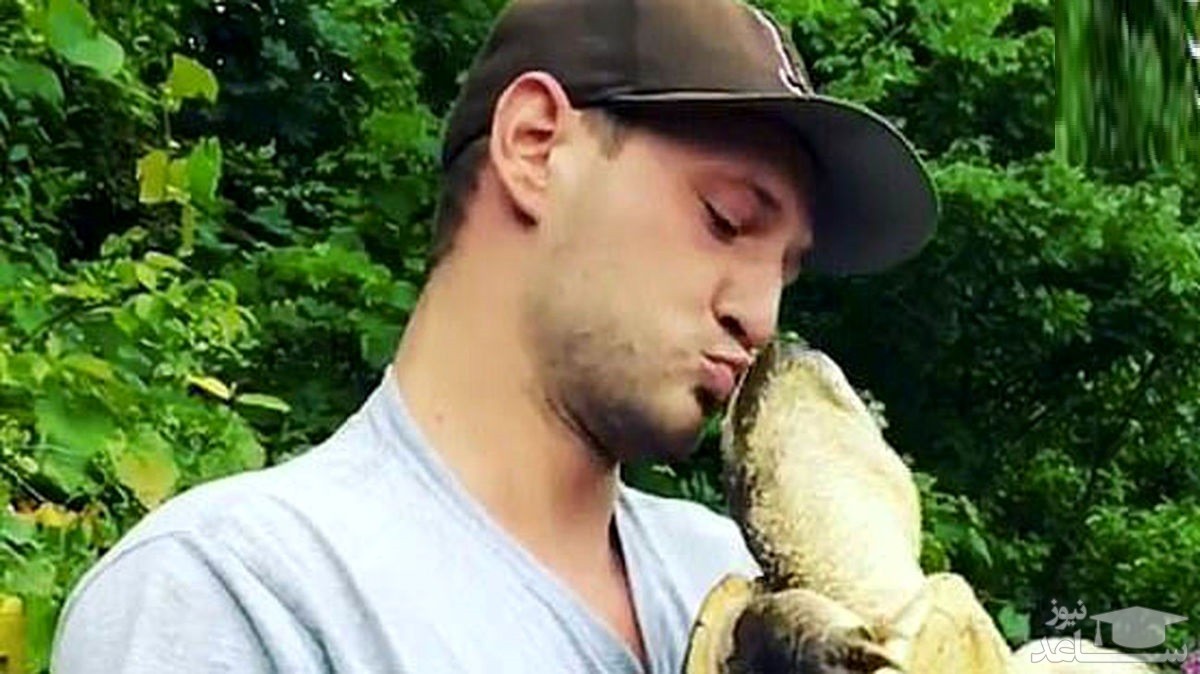 (فیلم) شوخی مردجوان با لاک‌پشت کار دستش داد