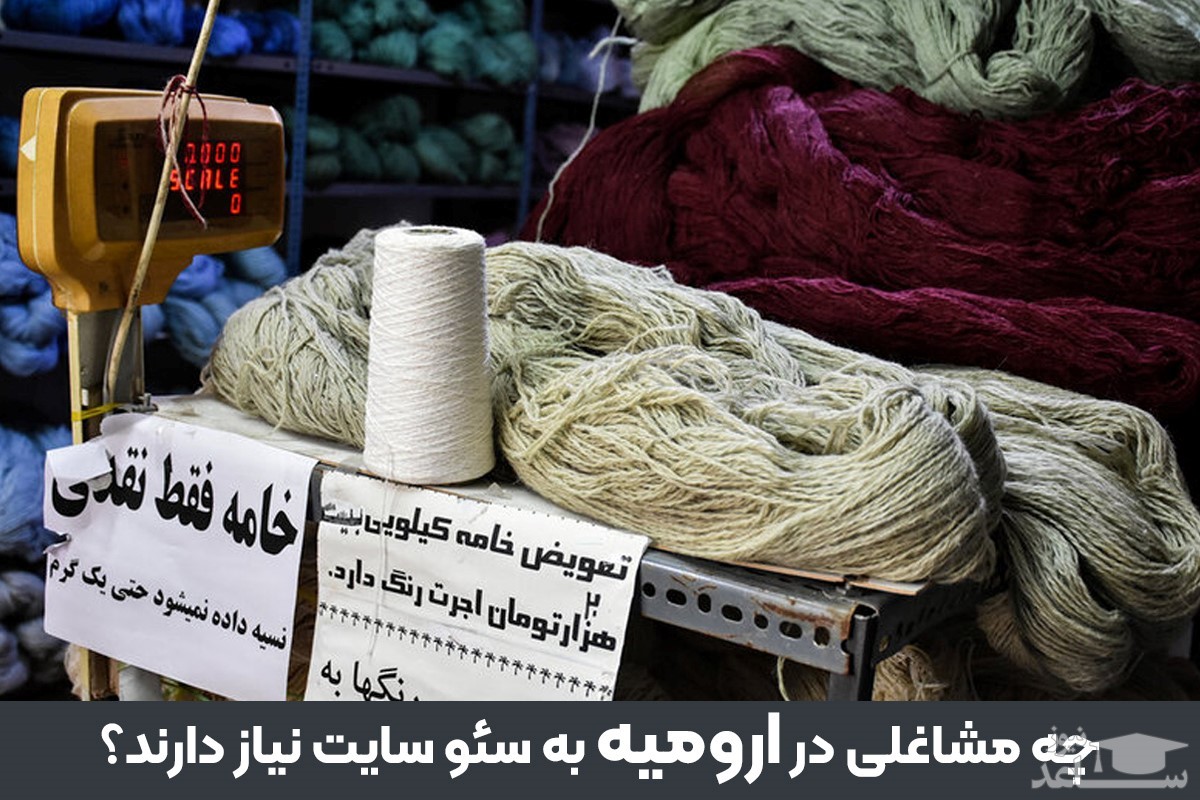 سئو سایت در ارومیه و افزایش فروش