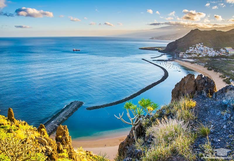 جزایر قناری