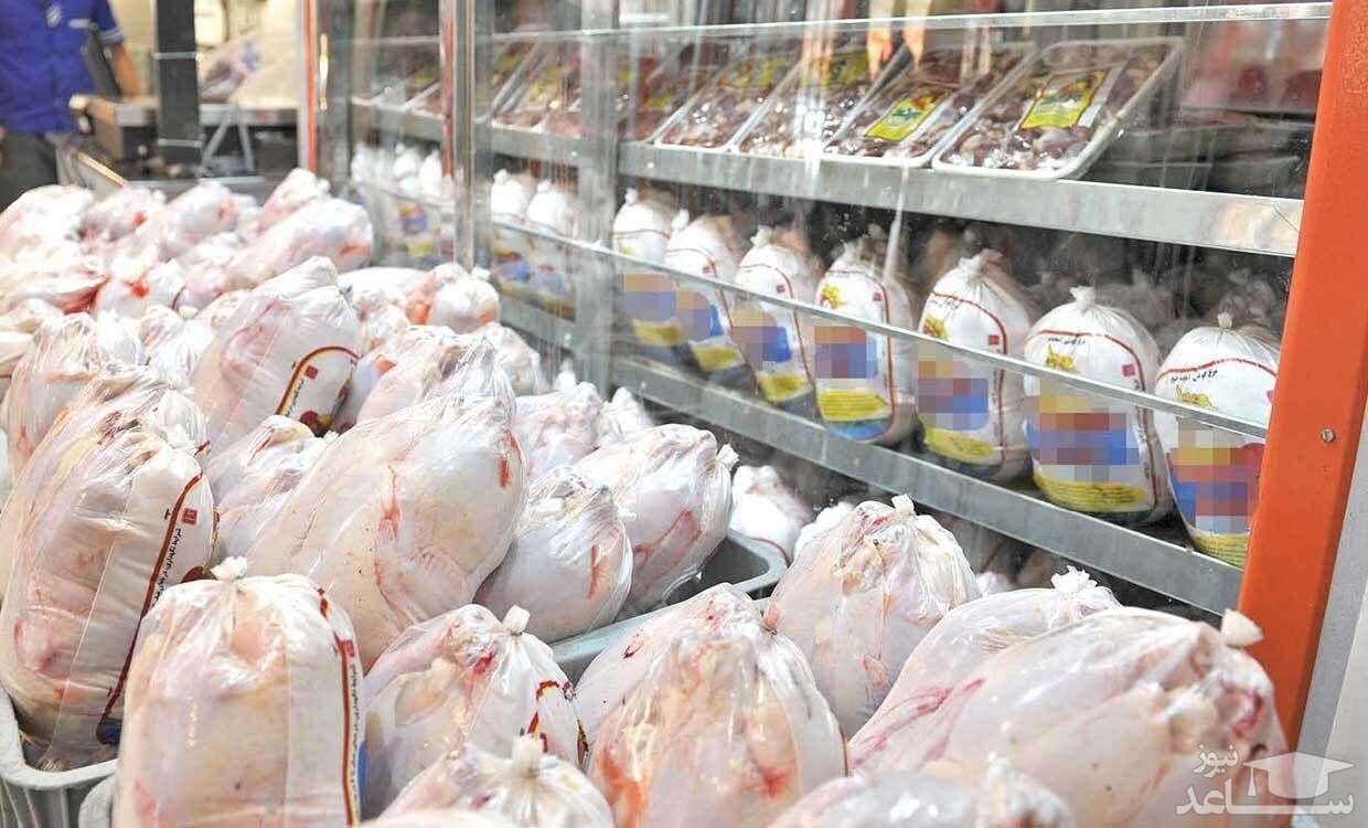 توزیع۳۷۰تن مرغ منجمد در کهگیلویه وبویراحمد