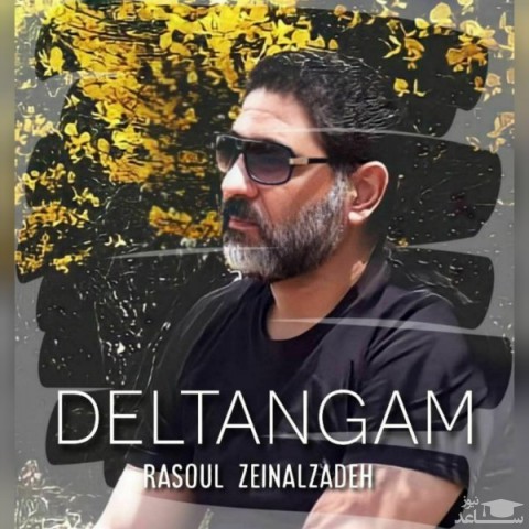 دانلود آهنگ دلتنگم از رسول زینال زاده