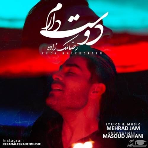 دانلود آهنگ دوست دارم از رضا ملک زاده