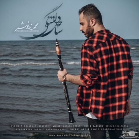 دانلود آهنگ ساحل دلتنگی از محمد زرنوش