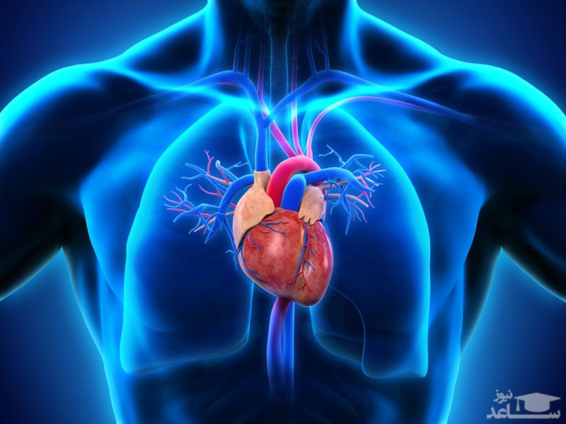 میزان، تاثیرات و مکانیزم اثر اپلرنون