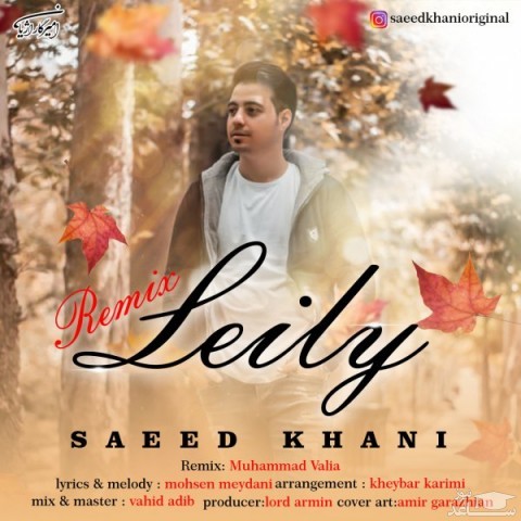 دانلود ریمیکس لیلی از سعید خانی