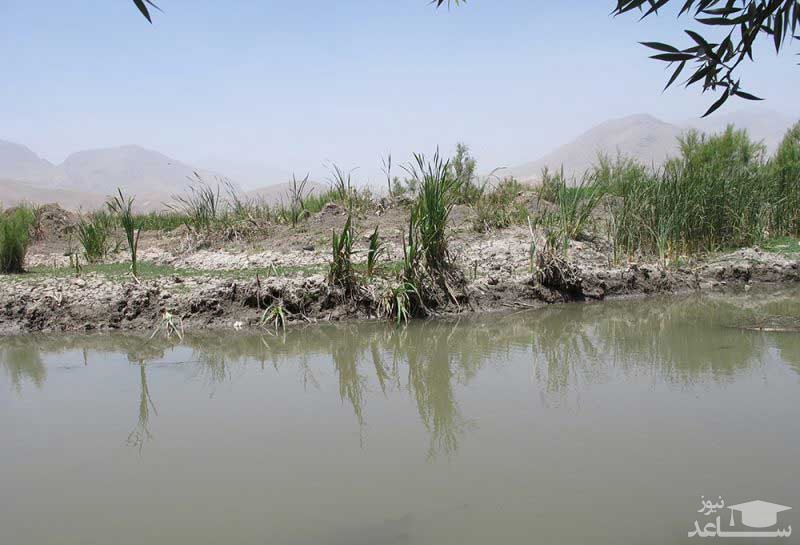 تصویر
