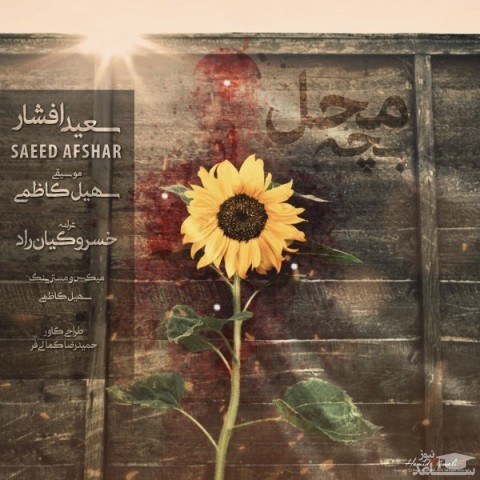 دانلود آهنگ بچه محل از سعید افشار