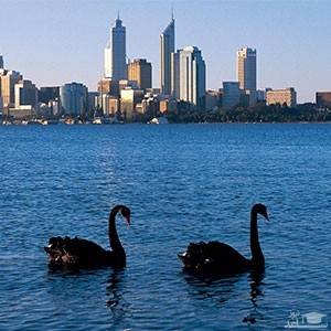 رودخانه سوان | Swan River