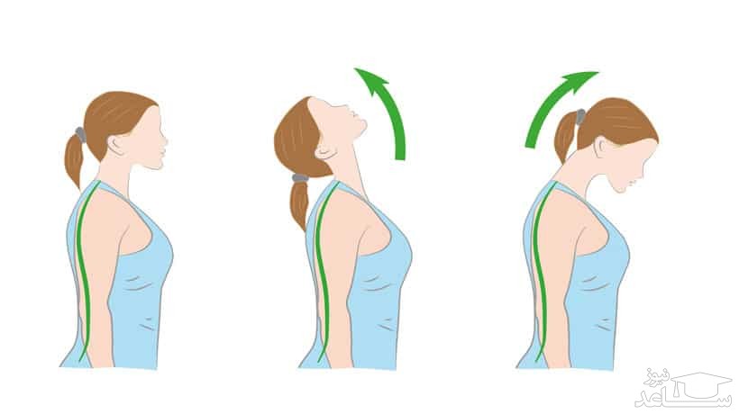بالا پایین کردن گردن