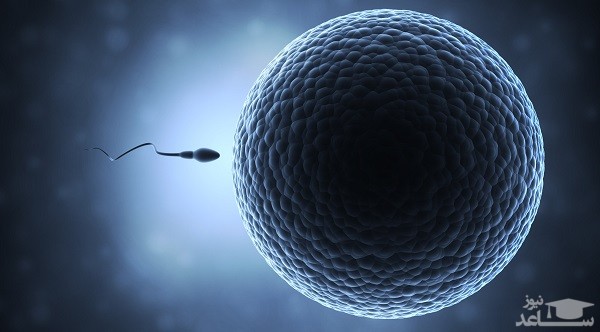 روش های افزایش حجم و کیفیت اسپرم مردان