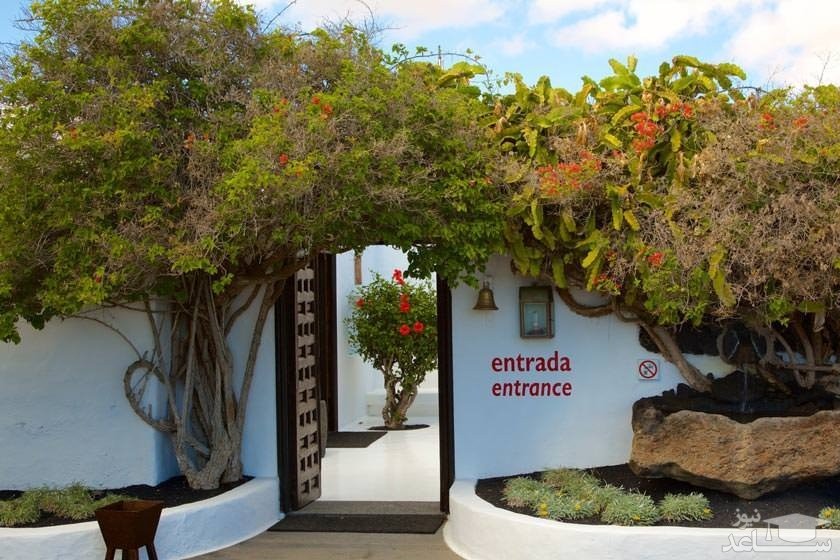 بنیاد سزار مانریک