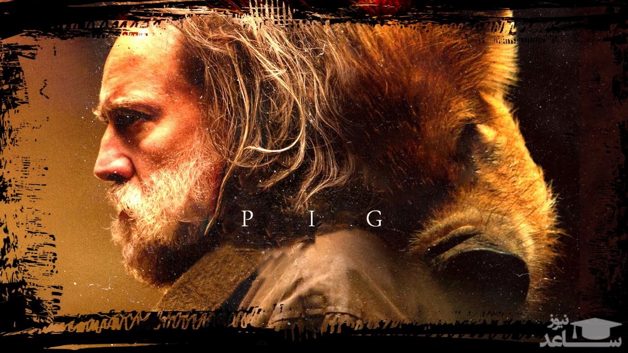 معرفی  فیلم خوک - Pig