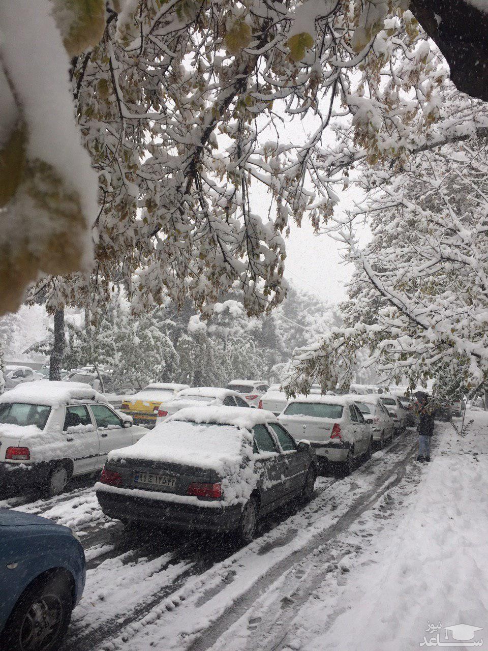 آیا مدارس و ادارات تهران تعطیل می شود؟/ بارش برف سنگین در تهران