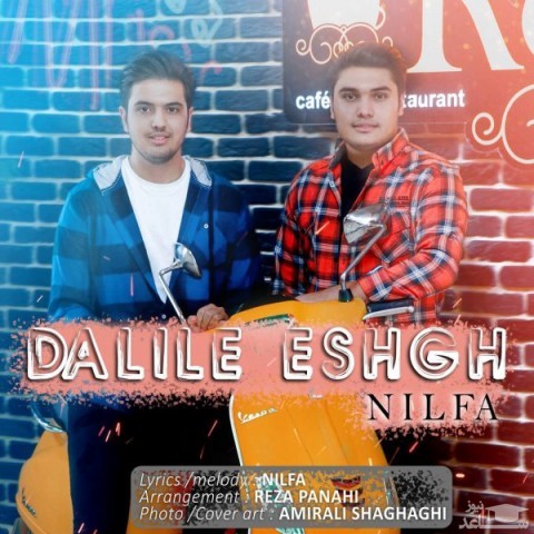 دانلود آهنگ دلیل عشق از نیلفا