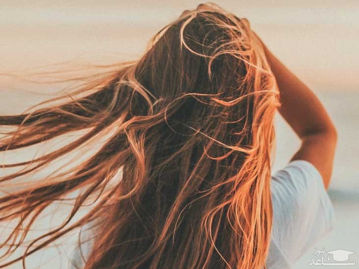 روش استفاده صحیح از روغن مورد برای تقویت موها