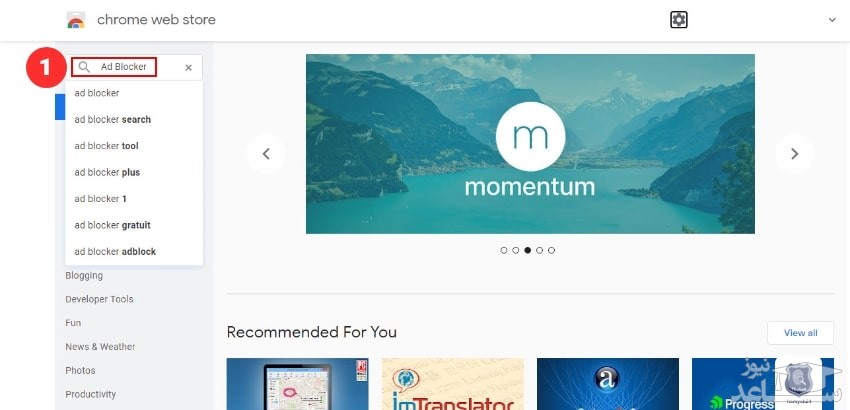 وب استور کروم