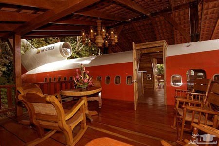 معرفی  هتل روي درخت + تصاویر