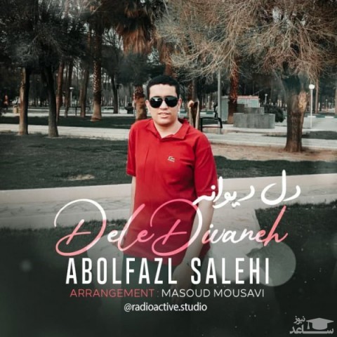 دانلود آهنگ دل دیوانه از ابوالفضل صالحی