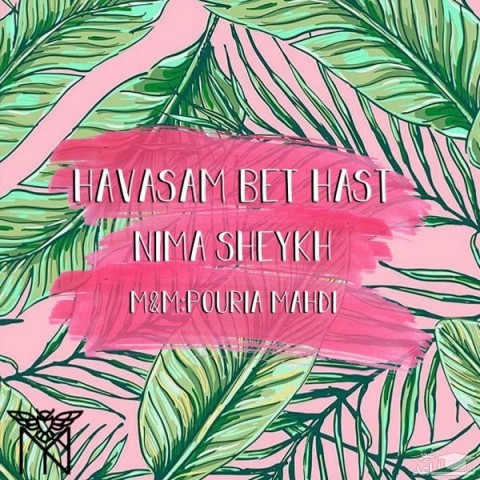 دانلود آهنگ حواسم بت هست از نیما شیخ