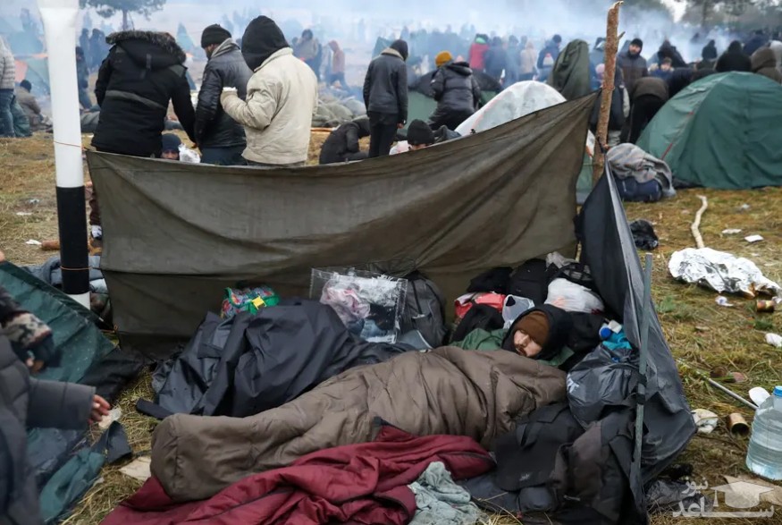 پناهجویان سرگردان در مرز بلاروس و لهستان/ رویترز