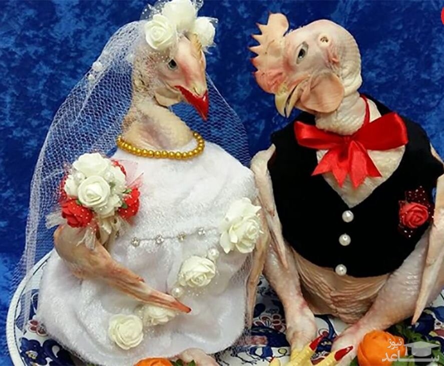 تزئین یخچال عروس‌های ایرانی سوژه رسانه‌های خارجی شد