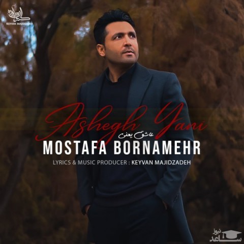 دانلود آهنگ عاشق یعنی از مصطفی برنامهر