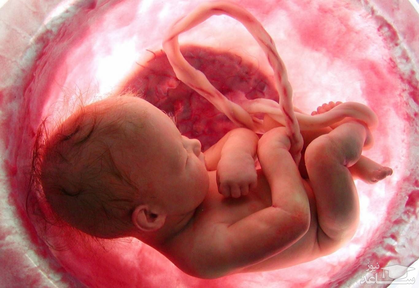 ویدئویی پراحساس از ماجرای سق‍‍‍‍ط نکردن یک مادر!