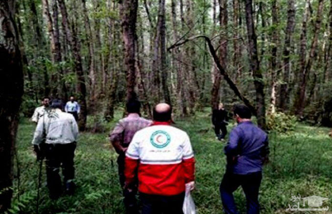 راز فریادهای کمک یک زن در جنگل های رامسر