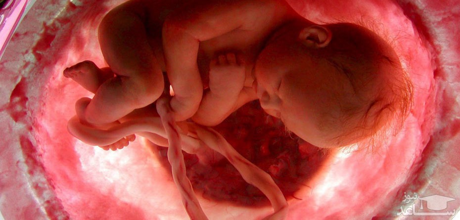 تکان خوردن های جنین در داخل شکم مادر از چه زمانی آغاز میشود؟