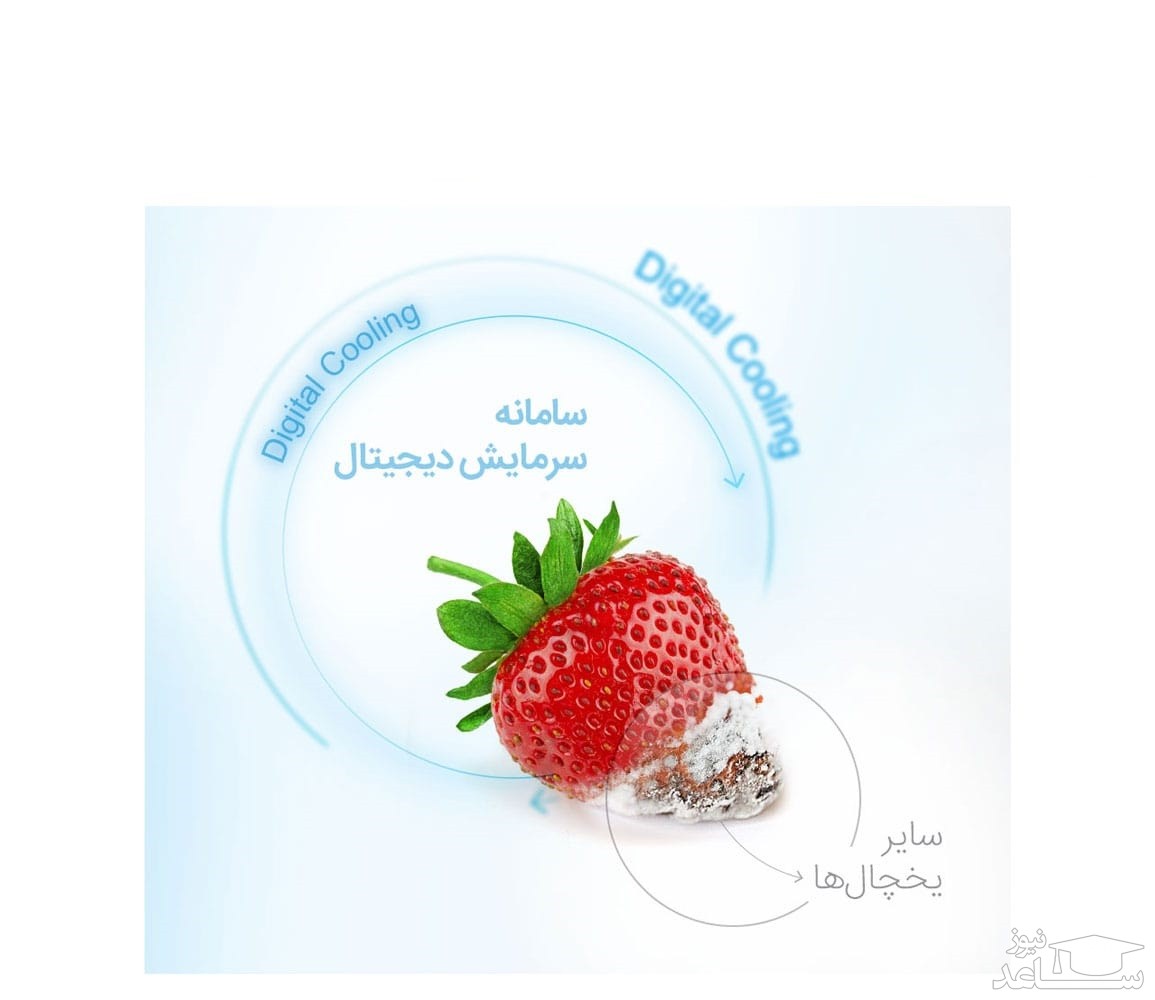 یخچال و فریزر ساید بای ساید دوو مدل D2S-1037MW