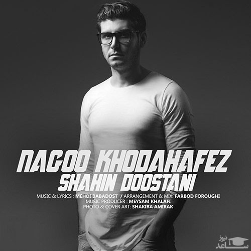 دانلود آهنگ نگو خداحافظ از شاهین دوستانی